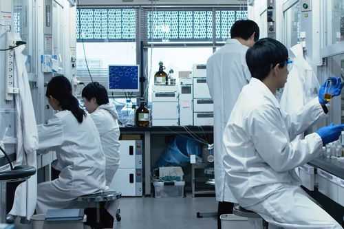 日本留學丨化學修士 電力行業(yè)高效節(jié)能技術(shù)研發(fā)，諾貝爾獎之路的起點